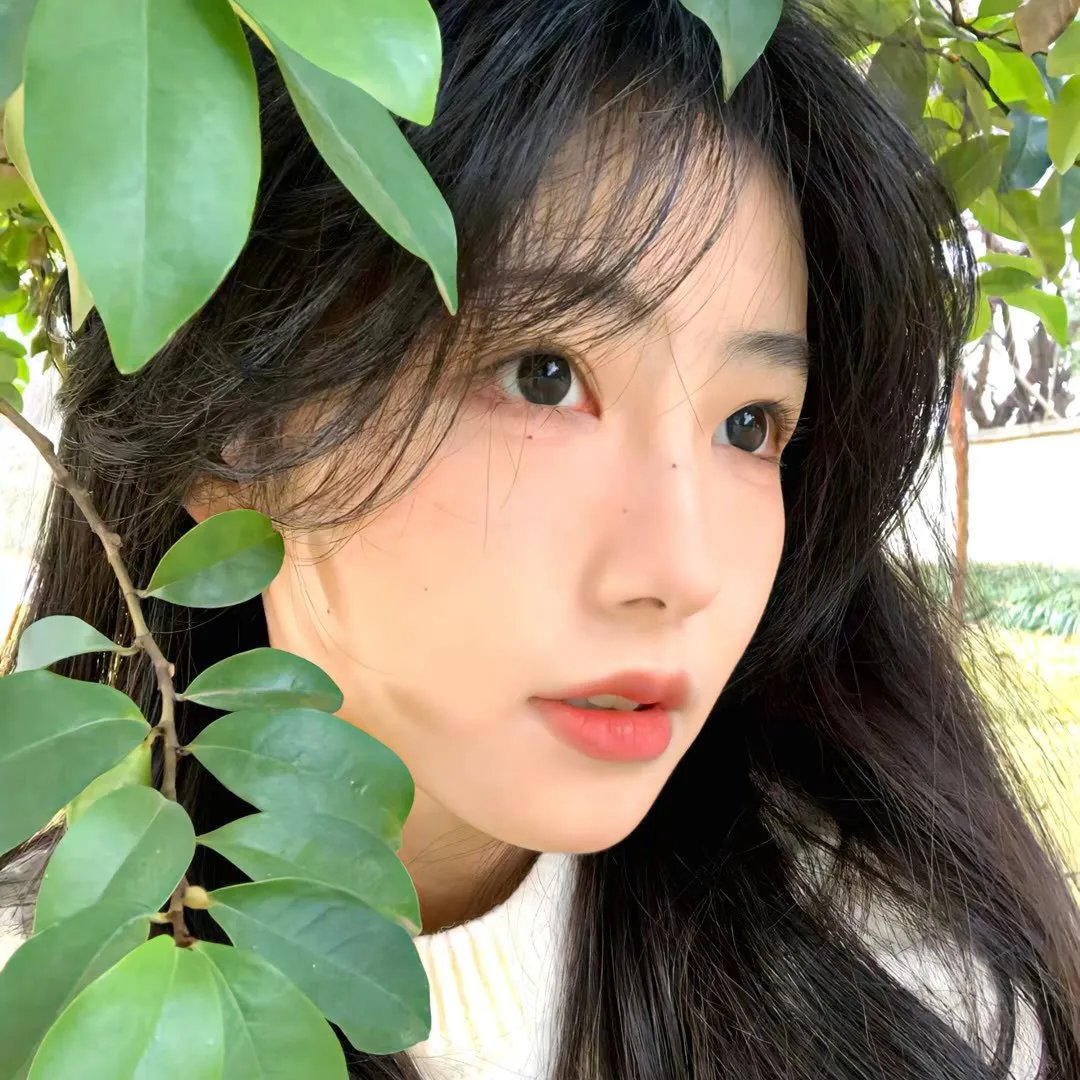 那年青春我们正好
